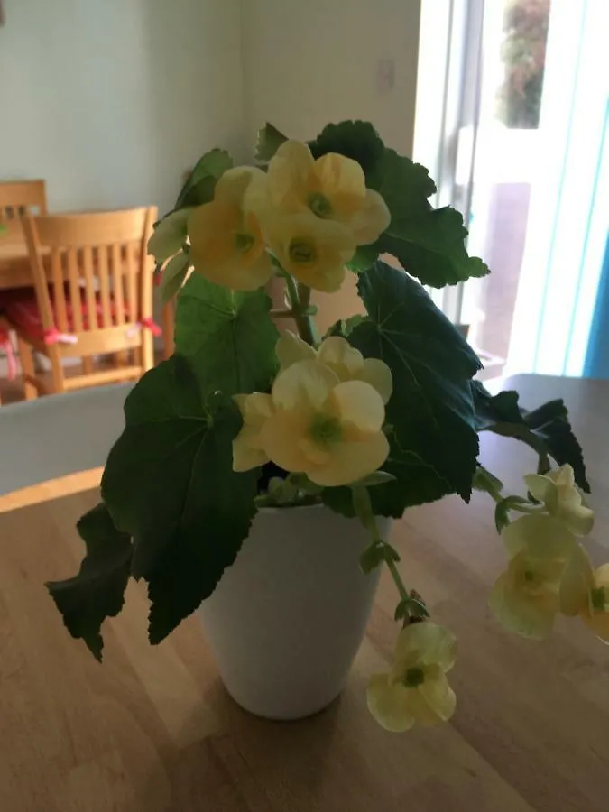 Holiday home Oakley Lodge Killarney